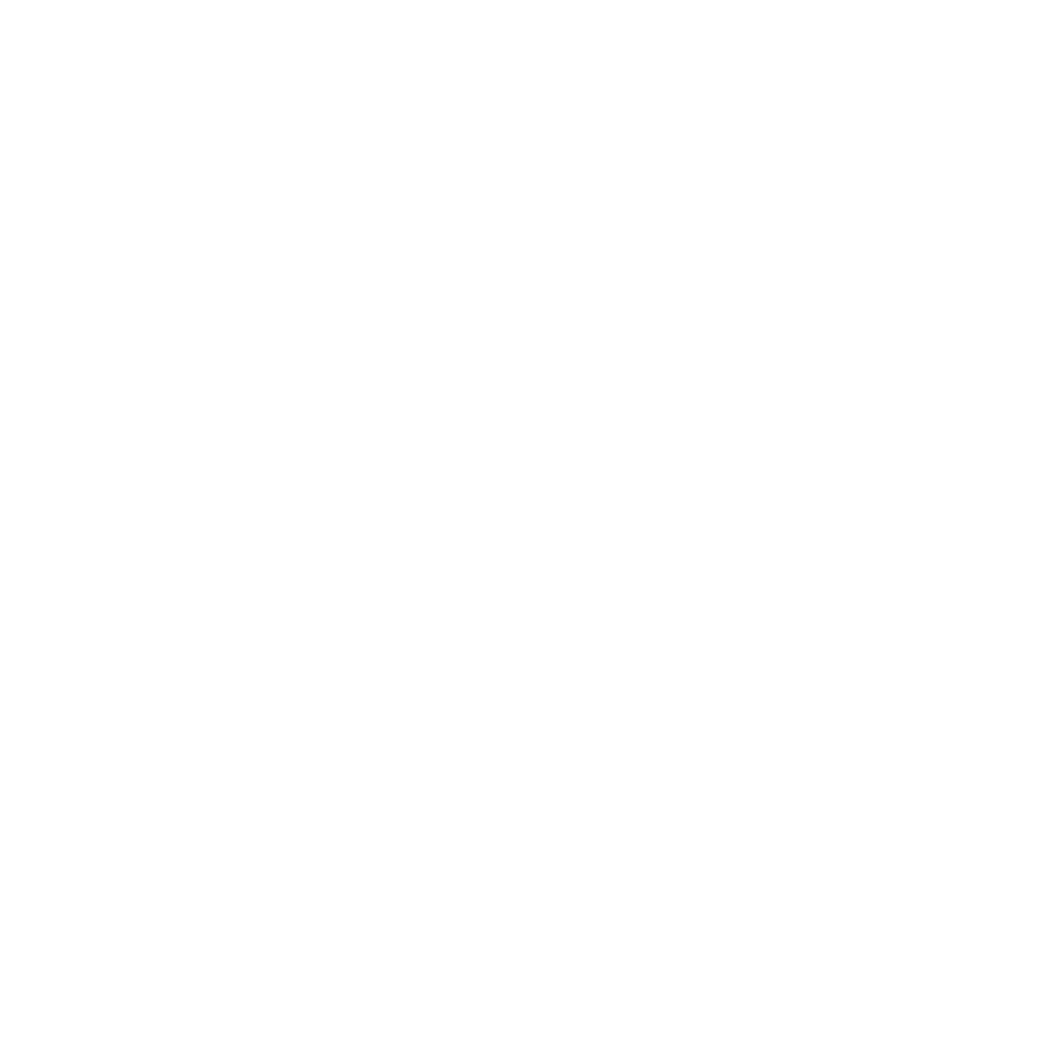 White Transparent Gradient